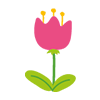 Menovka s Tulip